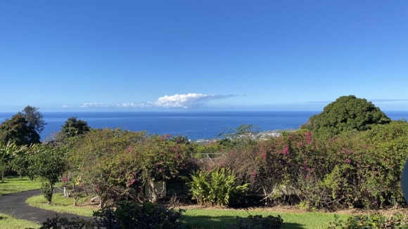 [빅아일랜드] 대표 커피농장 도토루 커피 (마우카 메도우즈 커피 팜) 관련 이미지 9