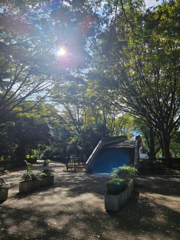 [시부야] 9월에도 꽃이 피는 요요기 공원 (도쿄의 센트럴파크, 애견 동반 달리기 코스, 버드 생츄어리) 관련 이미지 3