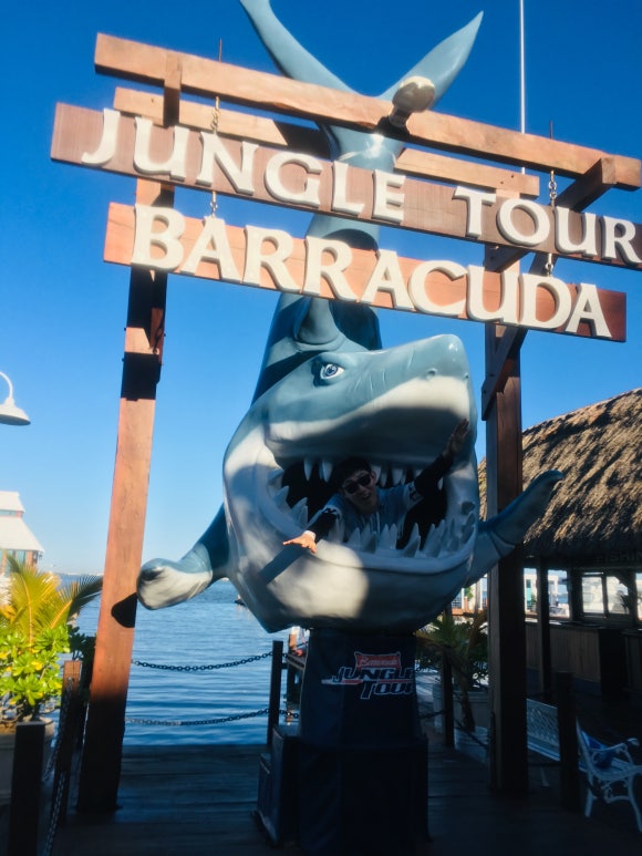 칸쿤 정글투어 - 직접 보트를 운전해서 스노클링 스팟까지! (Jungle Tour Barracuda) 관련 이미지 3