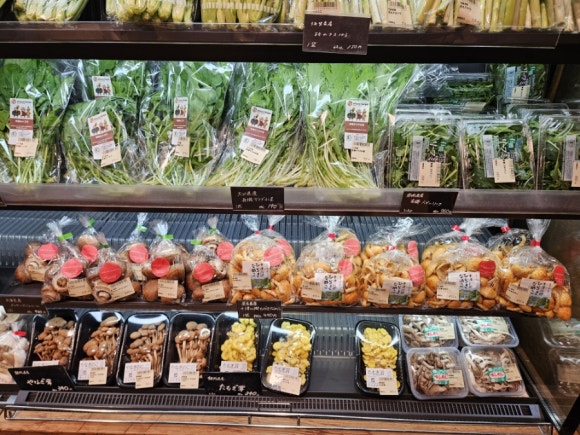 [긴자] [문구덕후] 무인양품 긴자 플래그쉽 스토어 (도쿄에서 가장 큰 무인양품, 무인양품호텔) 관련 이미지 23