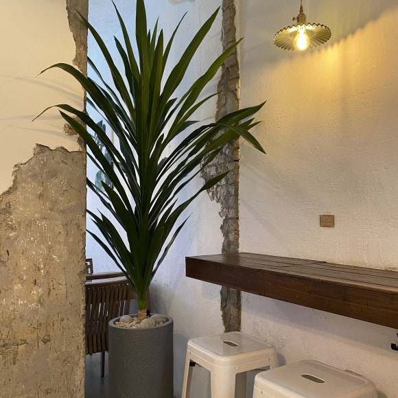 [이대] 위샐러듀 - 샥슈카..&hearts; 오늘부터 나의 최애 메뉴 관련 이미지 1