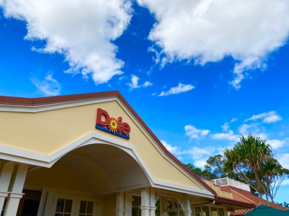 [오아후] 파인애플농장 - 사진이 예쁘게 나오는 색감 맛집 (돌 플랜테이션) 관련 이미지 10