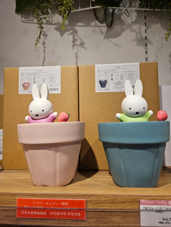 [아사쿠사] 플라워 미피 (미피 레어 굿즈 가득, 미피 마니아는 행복해...) 관련 이미지 9