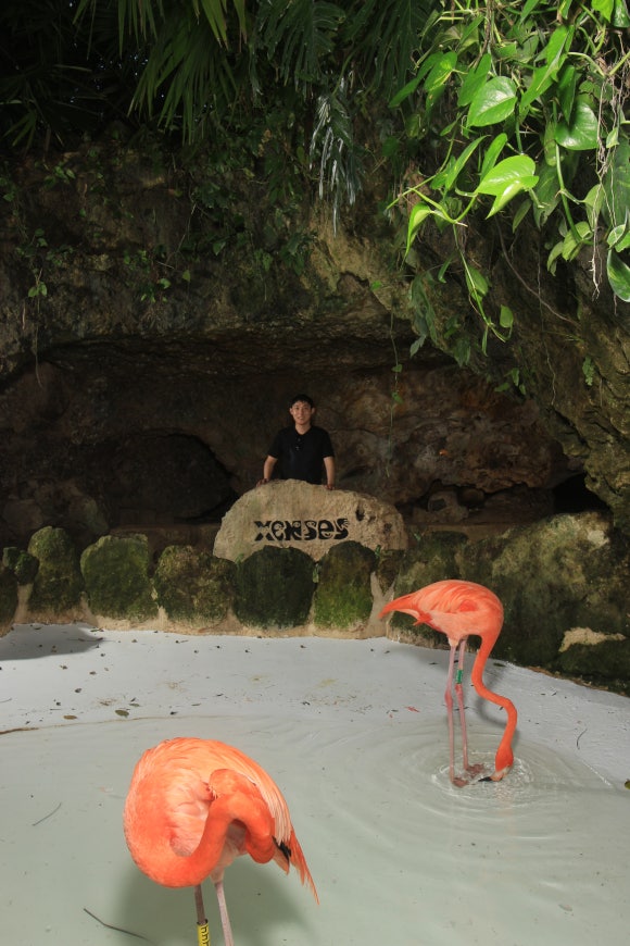 호텔 엑스카렛 멕시코 [테마파크편] - Xenses (오감을 자극하는 트릭아이 뮤지엄) 관련 이미지 28