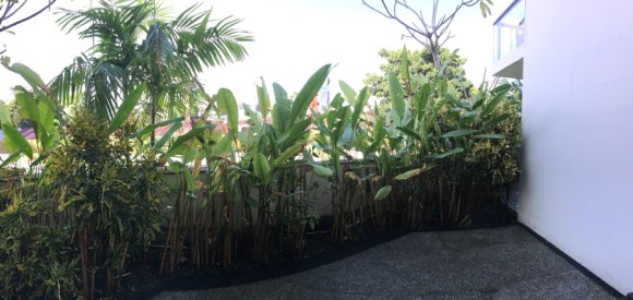 [발리,꾸따] 쉐라톤 발리 꾸따 리조트 - 위치,시설,조식 모두 만족스러웠던&hearts; 관련 이미지 6