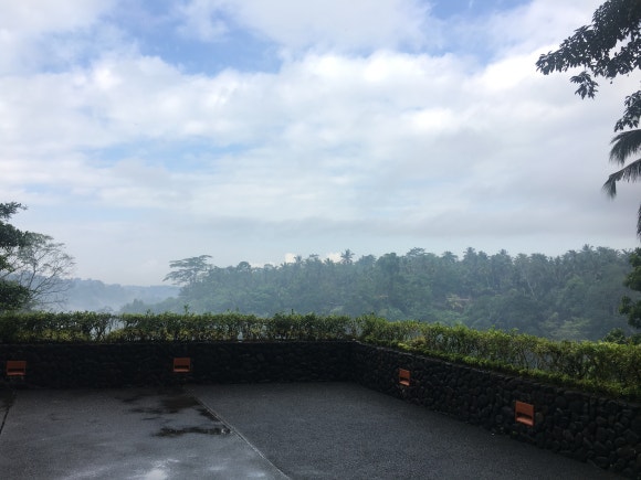 [발리,우붓] 알릴라우붓 - 원숭이랑 정글이랑 책이랑♡ (Alila Ubud) 관련 이미지 16