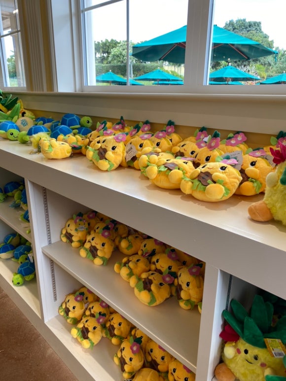 [오아후] 파인애플농장 - 사진이 예쁘게 나오는 색감 맛집 (돌 플랜테이션) 관련 이미지 12