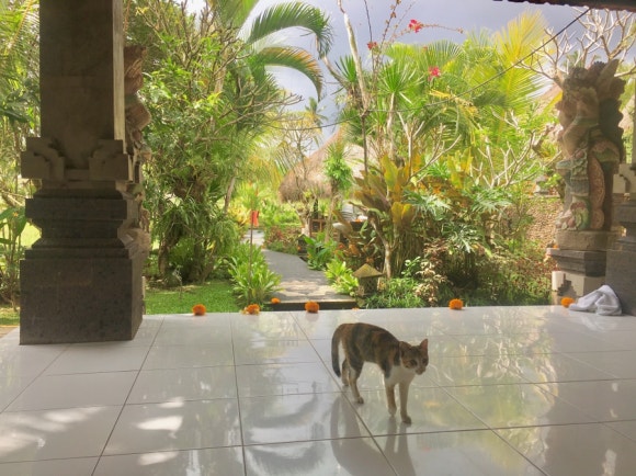 [발리,우붓] 카르사스파 - 로맨스가 꽃피는 우붓 최고의 마사지샵 &hearts; (예약, 가는 법, 가격) (Karsa spa) 관련 이미지 15