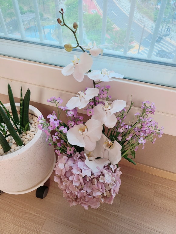 부부일심동체 관련 이미지 1