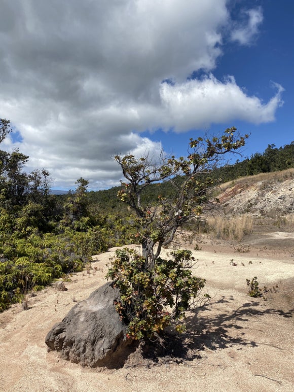 [빅아일랜드] 하와이 화산 국립공원 - 살아있는 화산을 보러 가자 (Hawai 관련 이미지 10
