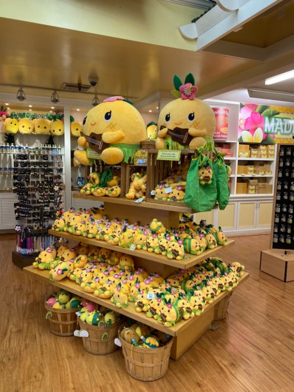 [오아후] 파인애플농장 - 사진이 예쁘게 나오는 색감 맛집 (돌 플랜테이션) 관련 이미지 15