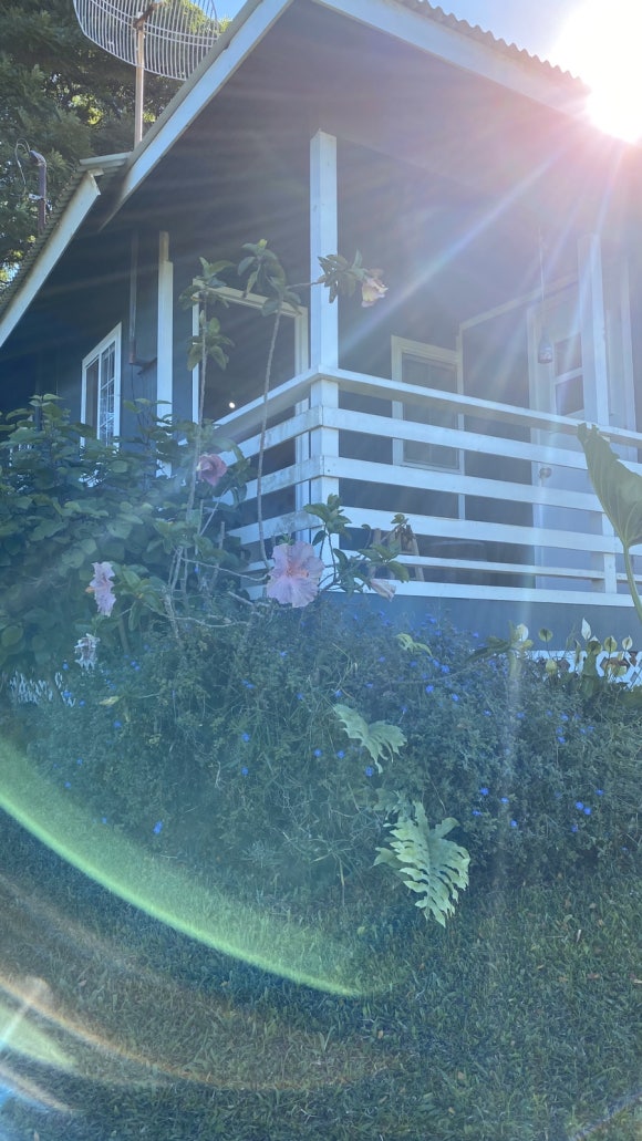 [빅아일랜드] 그린웰팜스 - 땅에서 식탁까지, 커피 라이프를 배우는 커피 농장 관련 이미지 8