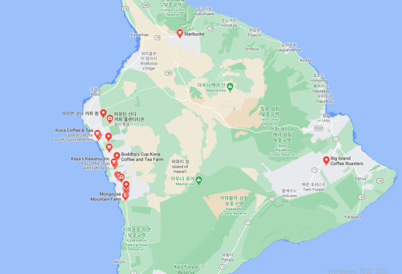 [빅아일랜드] 대표 커피농장 도토루 커피 (마우카 메도우즈 커피 팜) 관련 이미지 2