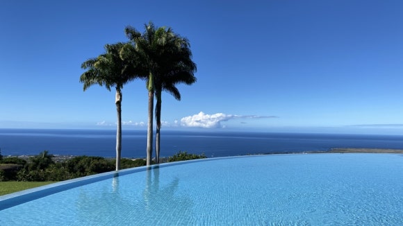 [빅아일랜드] 대표 커피농장 도토루 커피 (마우카 메도우즈 커피 팜) 관련 이미지 14