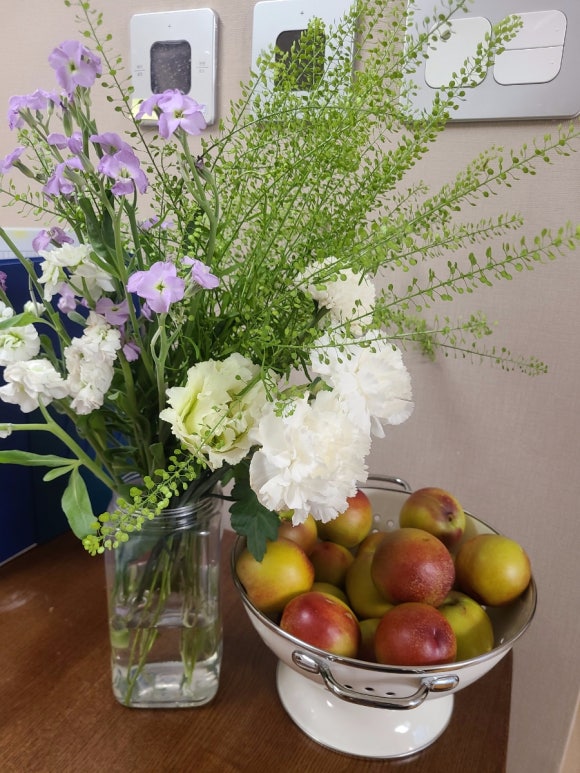 부부일심동체 관련 이미지 3