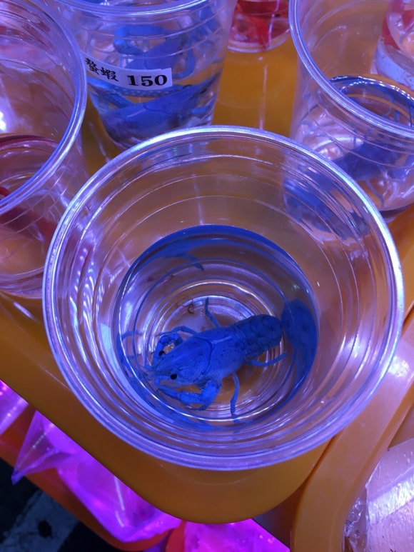 [타이베이] 지앤궈 주말마켓 - 옥시장,꽃시장,공예품시장 - 주말 아침 산책 코스 관련 이미지 14