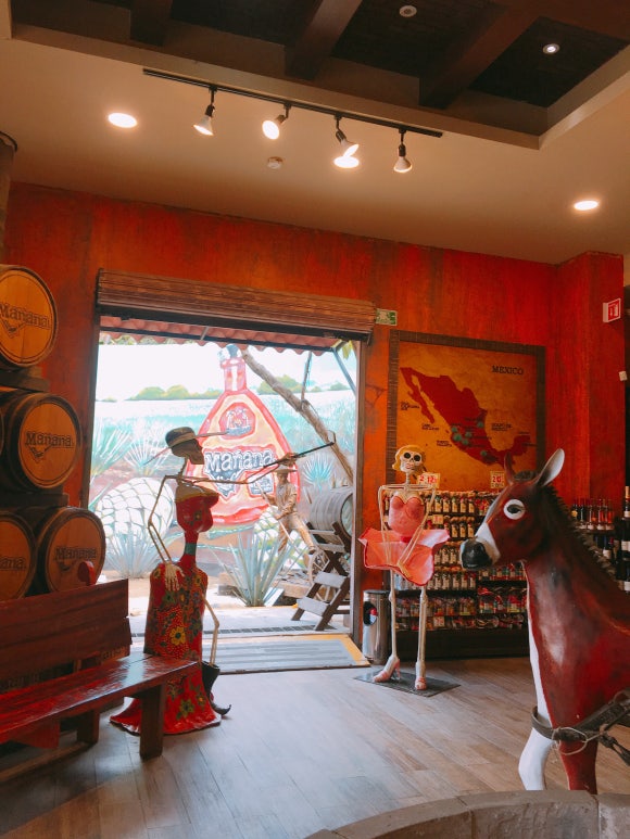 호텔 엑스카렛 멕시코 [투어편] - 다운타운 쇼핑투어 (쥬얼리 상점 방문 후 시내 구경하기 (흥정필수ㅋㅋ)) 관련 이미지 1