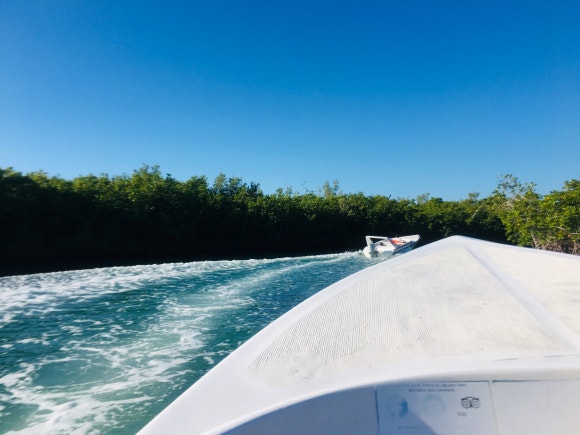 칸쿤 정글투어 - 직접 보트를 운전해서 스노클링 스팟까지! (Jungle Tour Barracuda) 관련 이미지 9