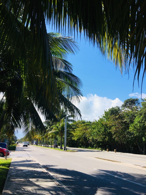 칸쿤 퍼블릭비치에서 신혼여행 스냅촬영 (다온스냅) 관련 이미지 7