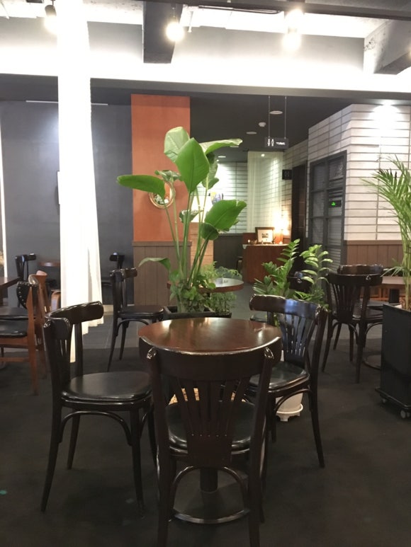 [신촌,이대] 문베어 - 버터스카치, 아인슈페너, 피스타치오크림 커피가 있는 감성 카페 ♡ 관련 이미지 1