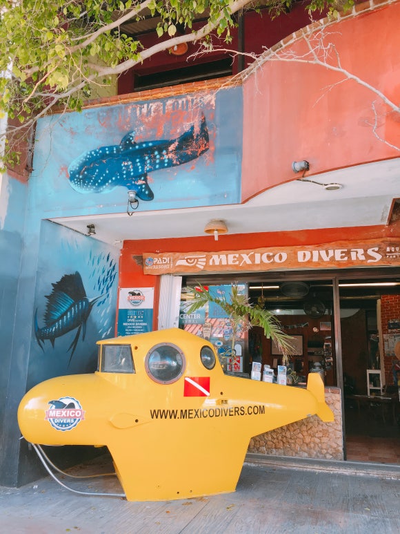 이슬라 무헤레스 -  칸쿤에서 배타기, 골프카트 끌고 섬 한바퀴 &hearts; (Tortugranja 거북이농장 / Punta Sur 푼타수르 / Playa Norte 플라야 노르떼) 관련 이미지 8