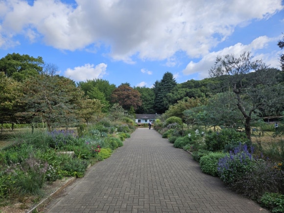 [시부야] 9월에도 꽃이 피는 요요기 공원 (도쿄의 센트럴파크, 애견 동반 달리기 코스, 버드 생츄어리) 관련 이미지 11