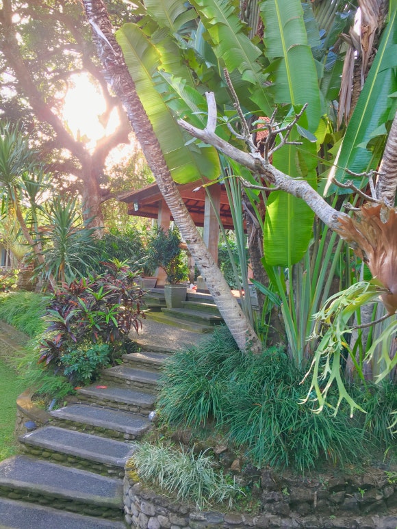 [발리,우붓] 뿌리 루키산 미술관 - 발리 미술 만나보기 (Puri Lukisan museum) 관련 이미지 8