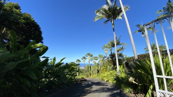 [빅아일랜드] 대표 커피농장 도토루 커피 (마우카 메도우즈 커피 팜) 관련 이미지 1