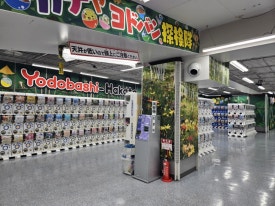 셀프 태교여행, 5월의 후쿠오카 (3/4) 관련 이미지 9