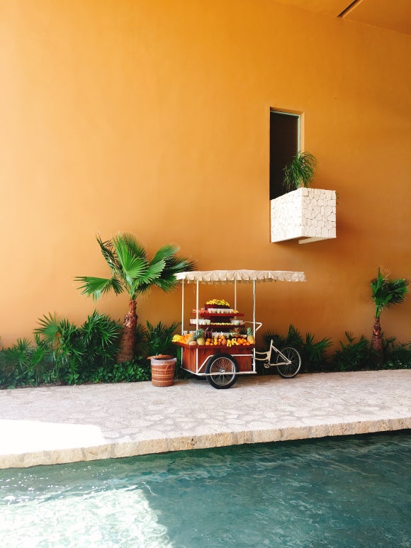 호텔 엑스카렛 멕시코 - 자연친화적이면서 환상적인 칸쿤의 올인클루시브 호텔! (로비 / 포토스팟 feat.만능팔찌) 관련 이미지 16