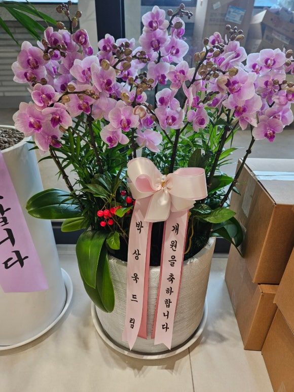 2주간의 꼼꼼한 진료 준비...그리고 첫 진료일! (개원준비기, 개원 선물들, 직원 회식, 신촌 서울재생치과) 관련 이미지 15