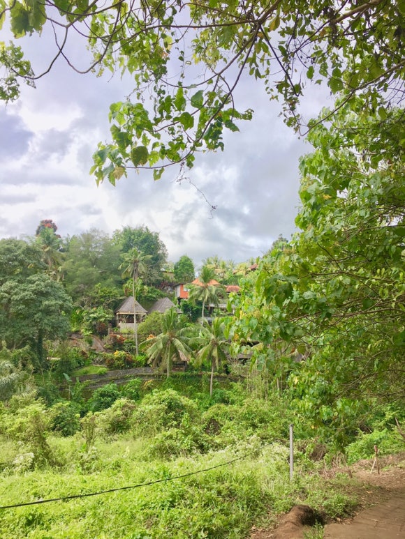 [발리,우붓] 카르사스파 - 로맨스가 꽃피는 우붓 최고의 마사지샵 &hearts; (예약, 가는 법, 가격) (Karsa spa) 관련 이미지 6