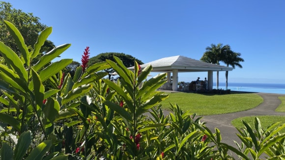 [빅아일랜드] 대표 커피농장 도토루 커피 (마우카 메도우즈 커피 팜) 관련 이미지 18