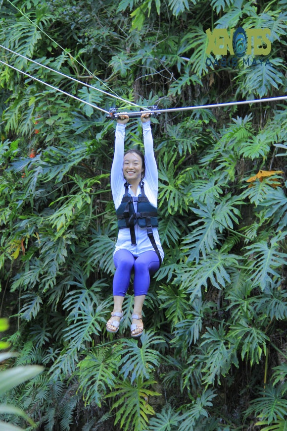 호텔 엑스카렛 멕시코 [투어편] - Xenotes (유카탄 반도의 싱크홀, 쎄노테 투어! 관련 이미지 13