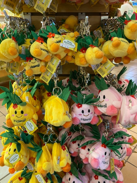 [오아후] 파인애플농장 - 사진이 예쁘게 나오는 색감 맛집 (돌 플랜테이션) 관련 이미지 18