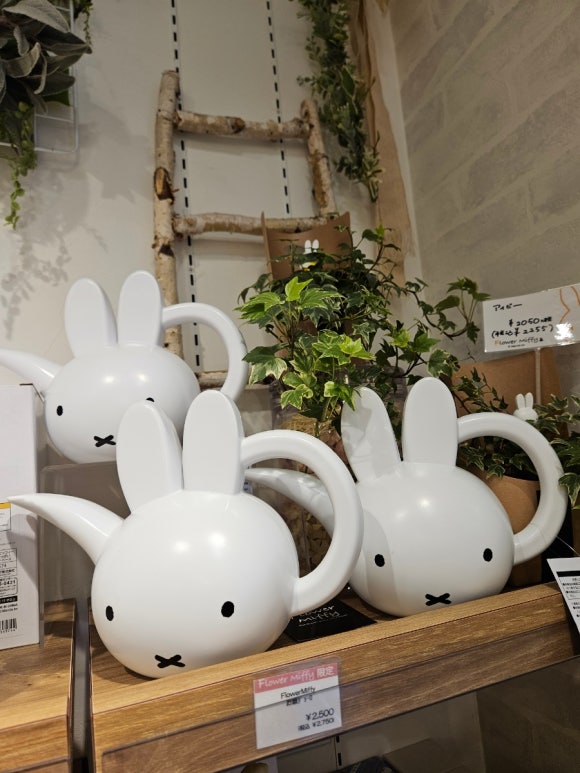 [아사쿠사] 플라워 미피 (미피 레어 굿즈 가득, 미피 마니아는 행복해...) 관련 이미지 7