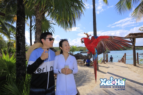 호텔 엑스카렛 멕시코 [테마파크편] - Xelha (바닷물에서 즐기는 인생 워터파크 셀하&hearts;) 관련 이미지 8