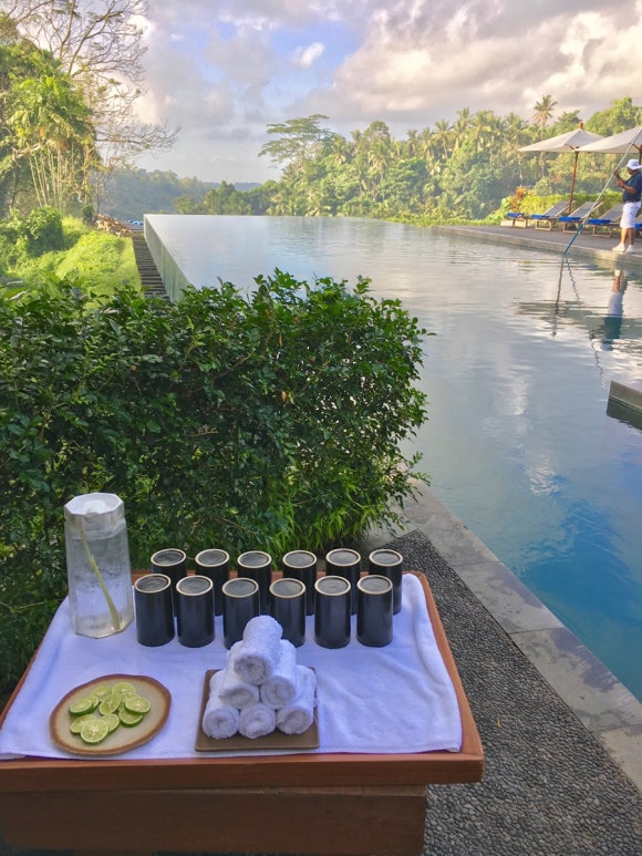 [발리,우붓] 알릴라우붓 - 원숭이랑 정글이랑 책이랑♡ (Alila Ubud) 관련 이미지 6