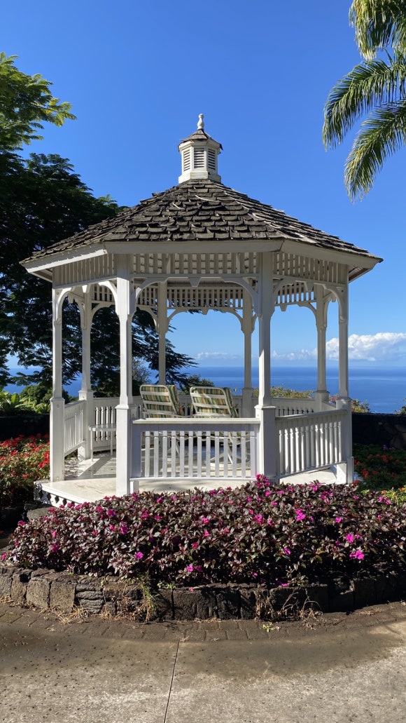 [빅아일랜드] 대표 커피농장 도토루 커피 (마우카 메도우즈 커피 팜) 관련 이미지 8