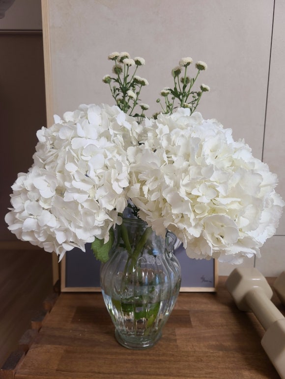 부부일심동체 관련 이미지 2