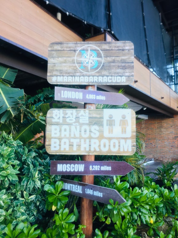 칸쿤 정글투어 - 직접 보트를 운전해서 스노클링 스팟까지! (Jungle Tour Barracuda) 관련 이미지 5