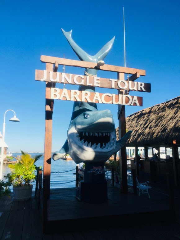 칸쿤 정글투어 - 직접 보트를 운전해서 스노클링 스팟까지! (Jungle Tour Barracuda) 관련 이미지 2