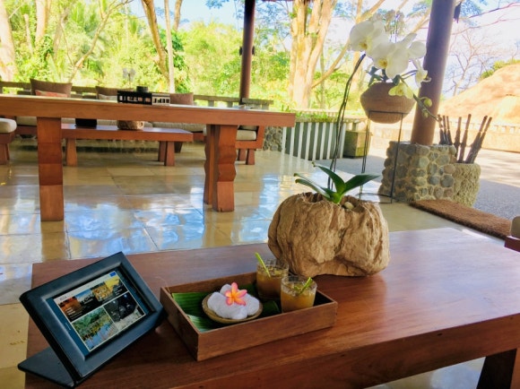 [발리,우붓] 알릴라우붓 - 원숭이랑 정글이랑 책이랑♡ (Alila Ubud) 관련 이미지 1