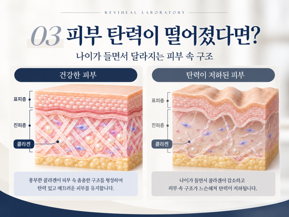 콜라겐 주사 리비콜, 어떤 피부 고민에 고려할 수 있을까요? 효과와 선택 기준 관련 이미지 5