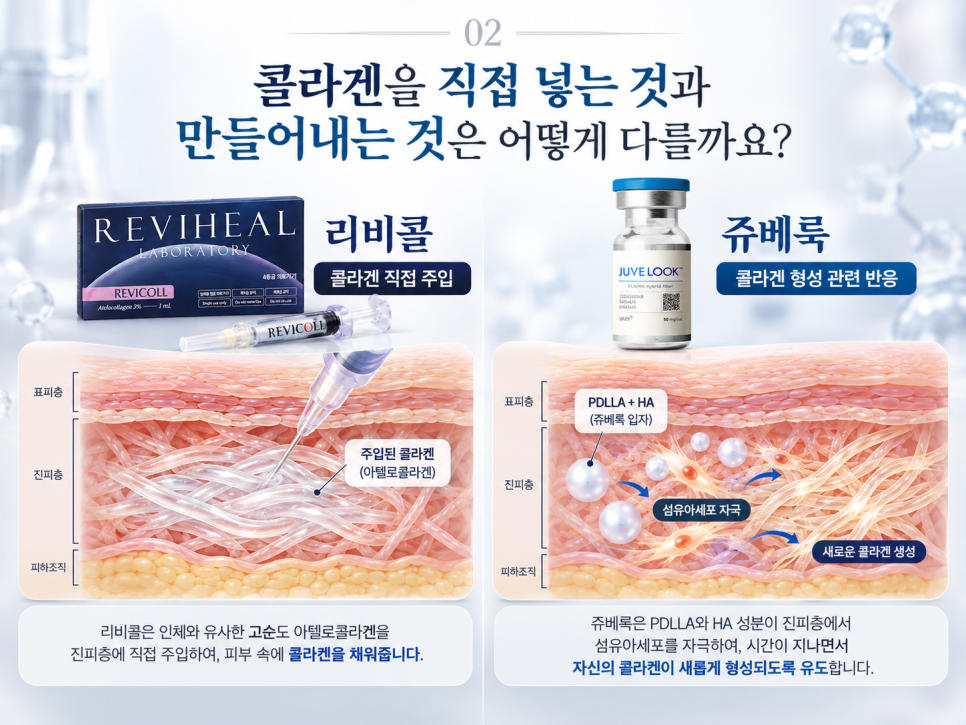 리비콜 vs 쥬베룩, 콜라겐을 직접 넣는 것과 만들어내는 것은 어떻게 다를까요? 관련 이미지 4
