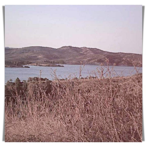 혈관 속 기름때를 청소하는 자연스러운 방법 관련 이미지 1