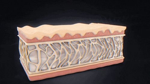 영등포 울쎄라 써마지 비교, 둘 중 뭐가 나을까? 관련 이미지 8