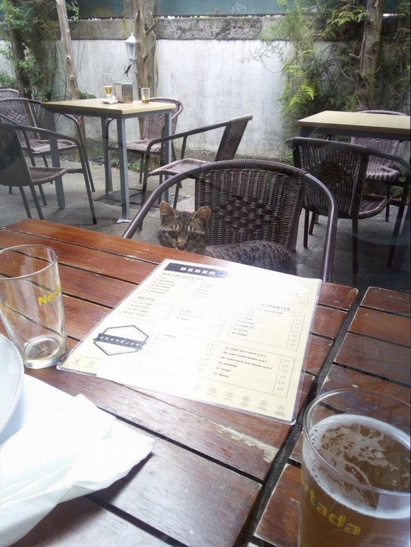 노동의 시장이론: 정의, 역사, 적용분야, 경제원리와의 연관성, 주요요소, 영향과 역할, 예시와 응용, 관련 용어, 장단점, 현대적 의의 관련 이미지 1