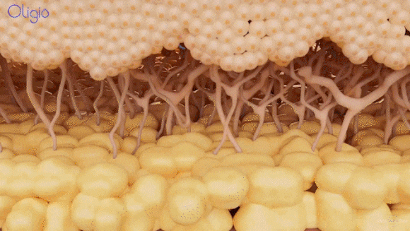 영등포올리지오 가성비 리프팅? 탄력, 볼륨, 라인 3가지 효과 관련 이미지 3