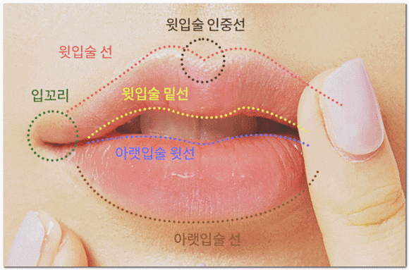 영등포 입술필러, 입술로 인상이 변할 수 있다고요? 관련 이미지 6